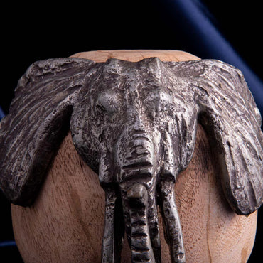 Little Straight Tusker Table Accent