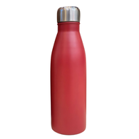 Matte Steel Bottle