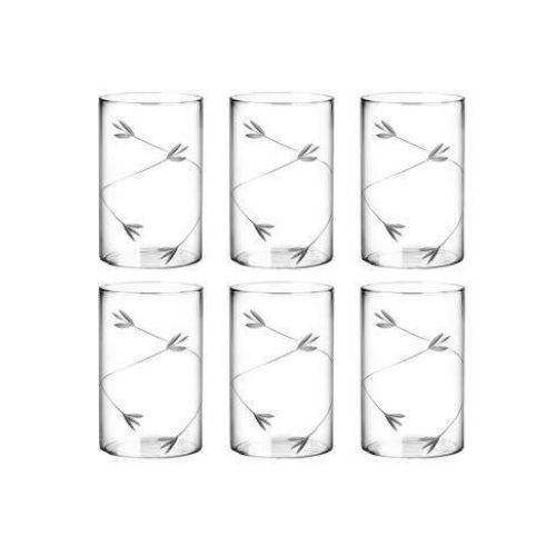 Borosilicate Decorative Vector Glass Tumbler 300 ML 6 Pcs Set