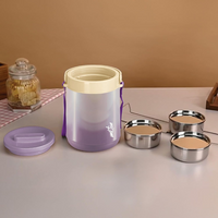 Gradient Tiffin 3 Stainless Steel Tiffin with Lifter